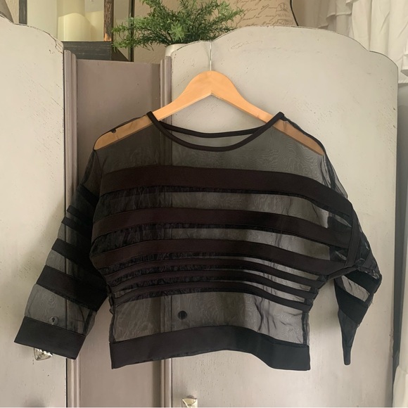 Mustard Seed Black Sheer Boxy Blouse - Picture 1 of 5